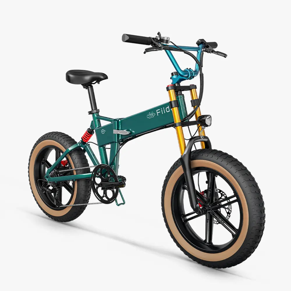 Fiido M1 Pro Fat Tire Electric Bike