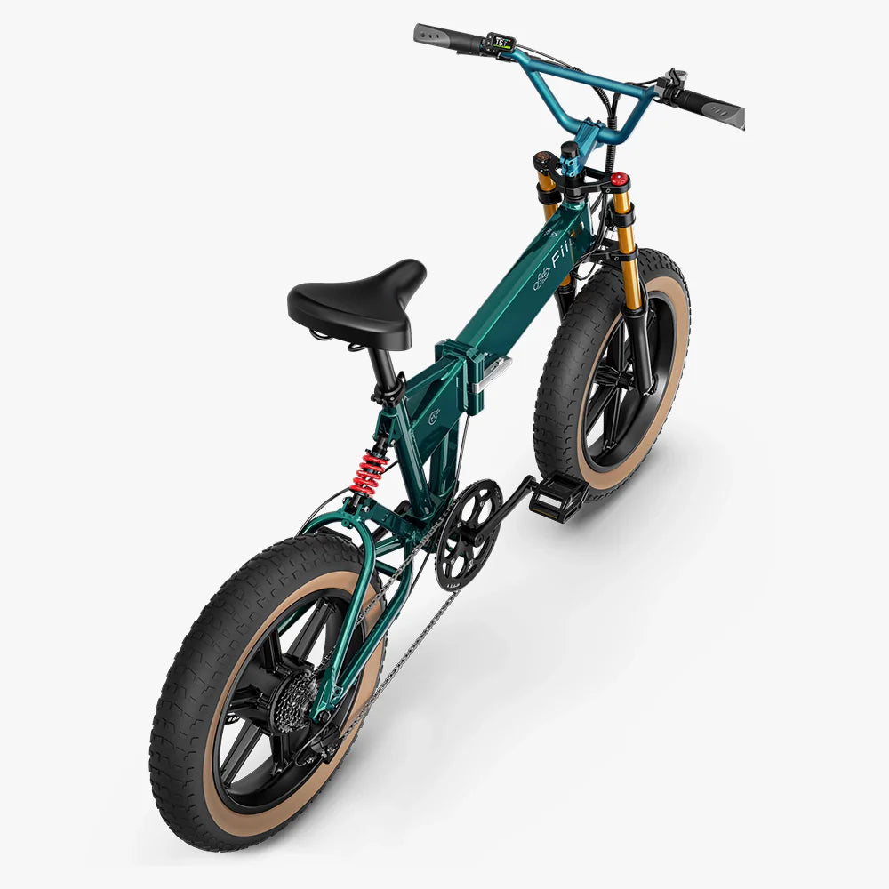 Fiido M1 Pro Fat Tire Electric Bike