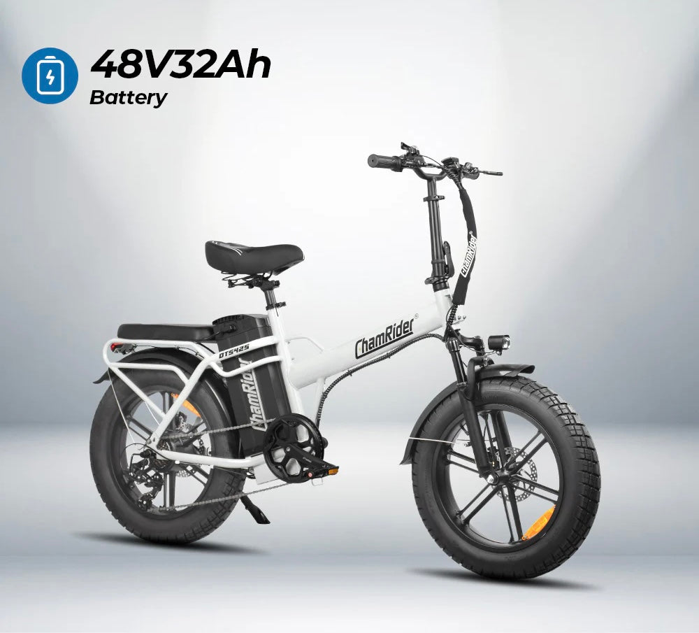 ChamRider DTS425 Pro Delivery Electric Bike | 48V 32Ah Battery | Up to 150KM Range | 250W EU Legal E-Bike