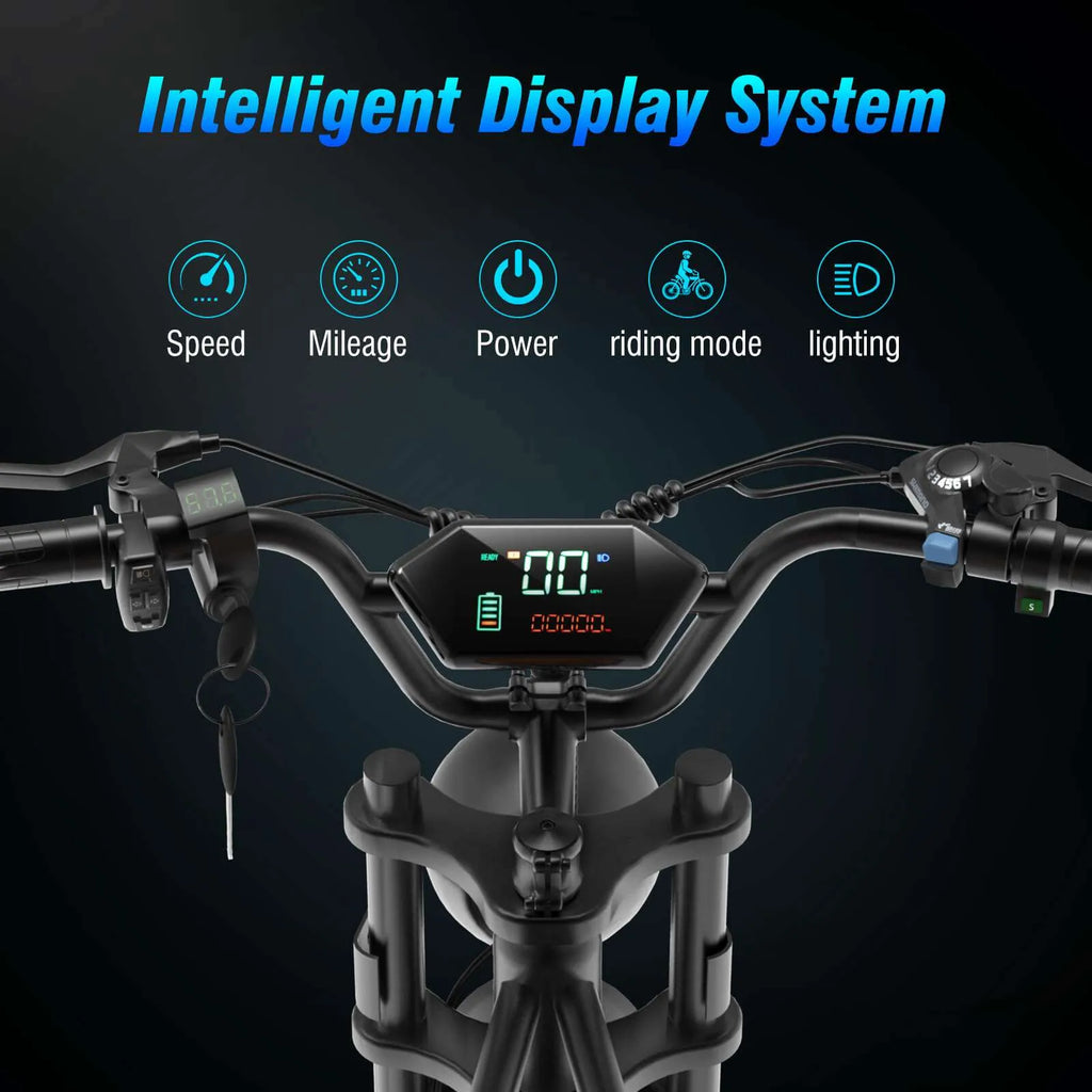 20″ Fat Tire Electric Bike OOK-TEK AMYET V9-G60