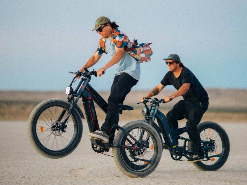 FREESKY Alaska Pro M-520 Dual Battery Electric Bike 48V 41Ah | Up to 257KM Range