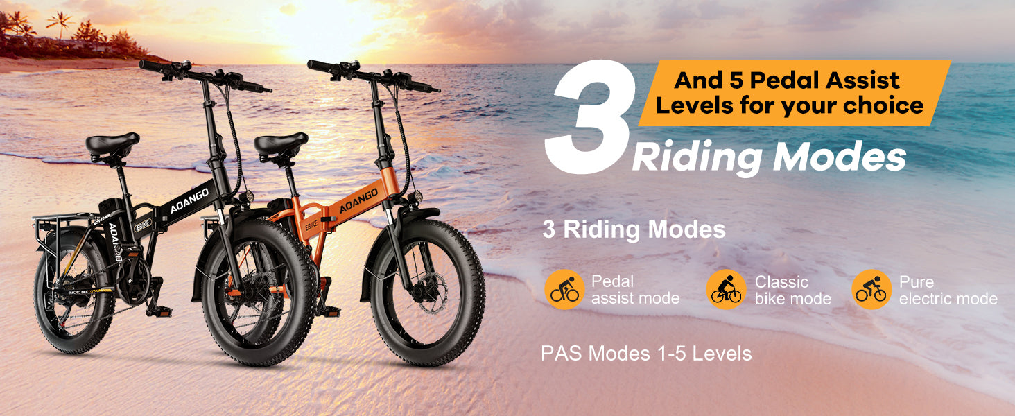 AOANGO / EUYBIKE F6 Folding Electric Bike 48V 50Ah 250W | 240km Range