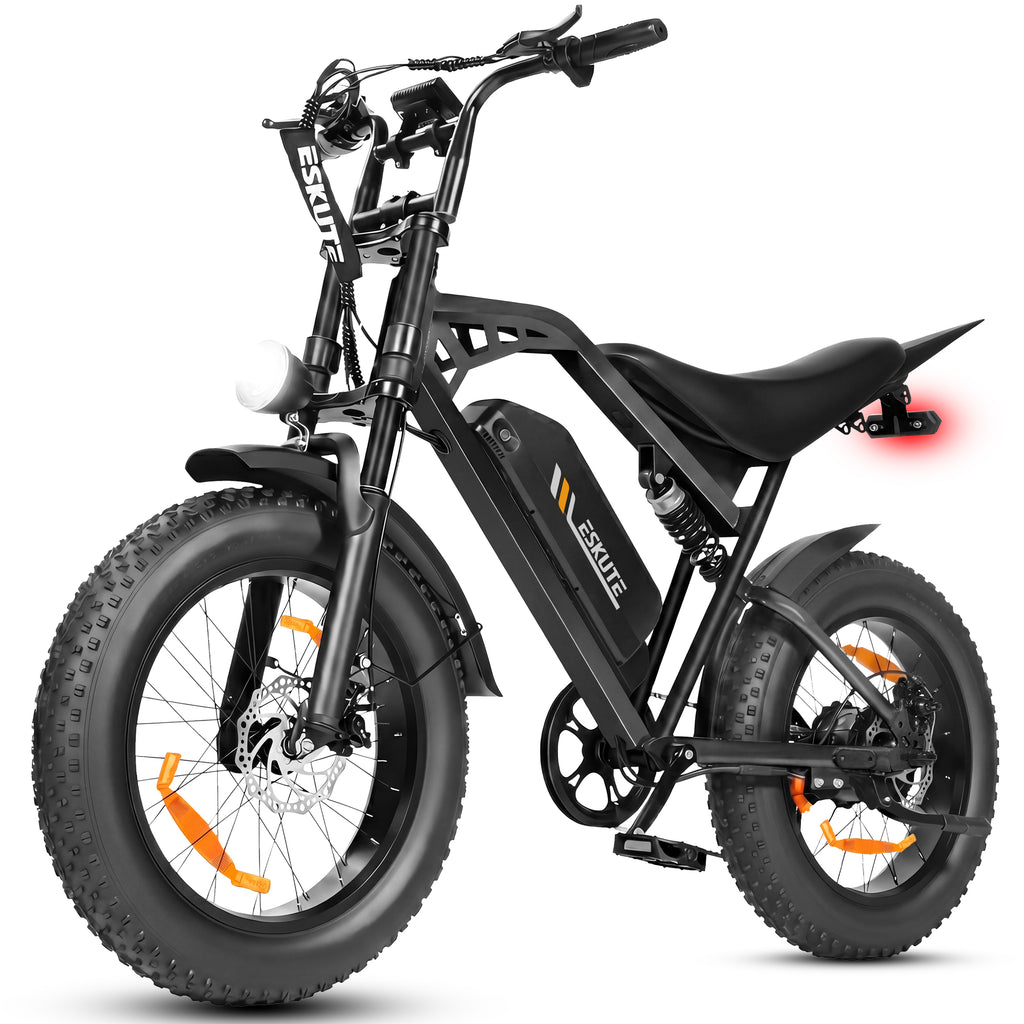 Eskute V202 Retro Electric Bike 250W 48V 20.8Ah | Full Suspension Fat Tire E-Bike