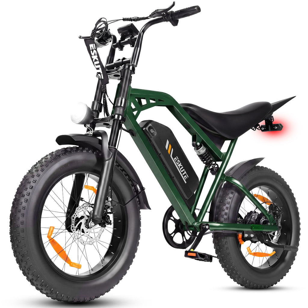 Eskute V202 Retro Electric Bike 250W 48V 20.8Ah | Full Suspension Fat Tire E-Bike