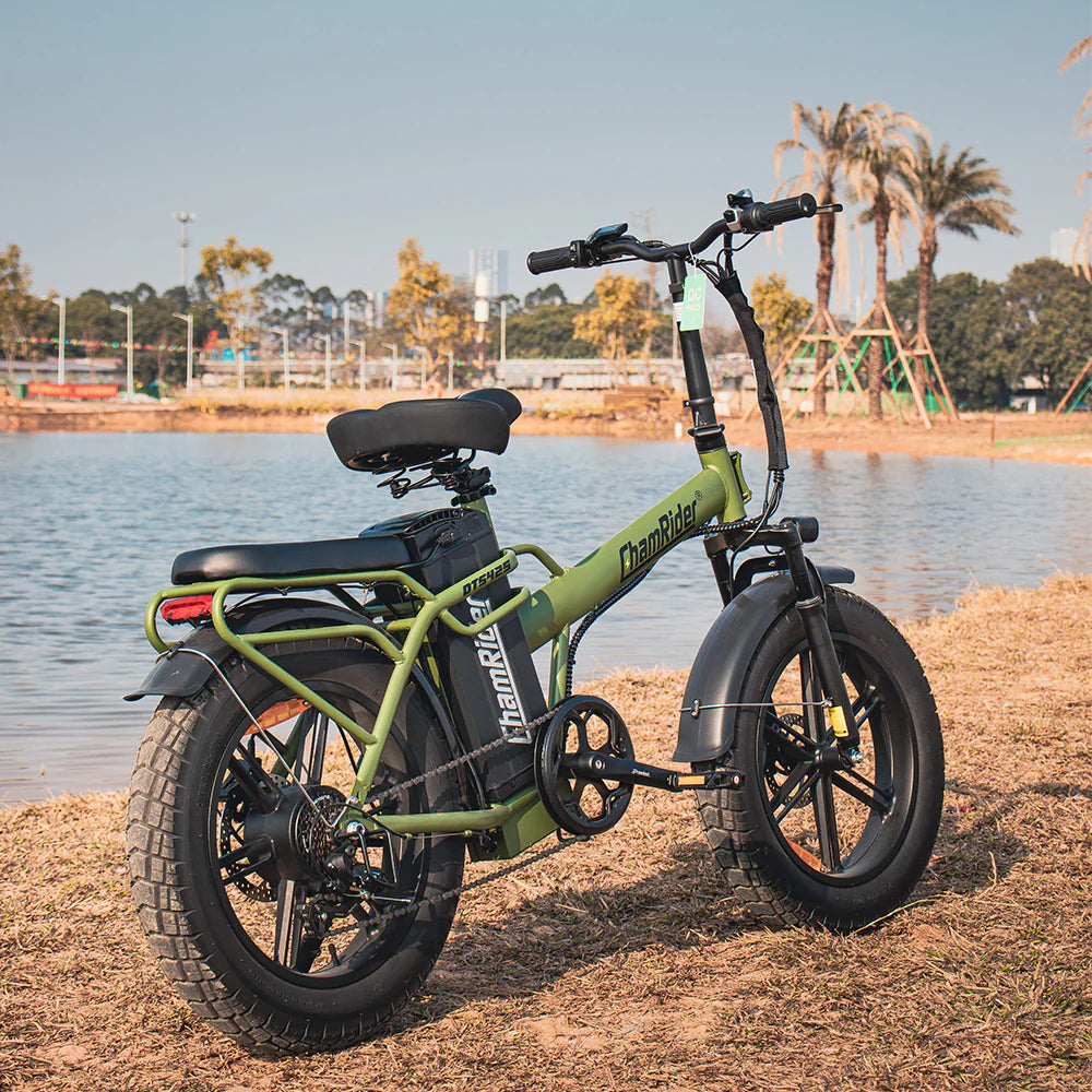ChamRider DTS425 Pro Delivery Electric Bike | 48V 32Ah Battery | Up to 150KM Range | 250W EU Legal E-Bike
